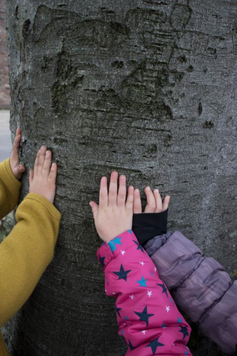 stommelerbusch_oktober_0060_©Matthias_Jung