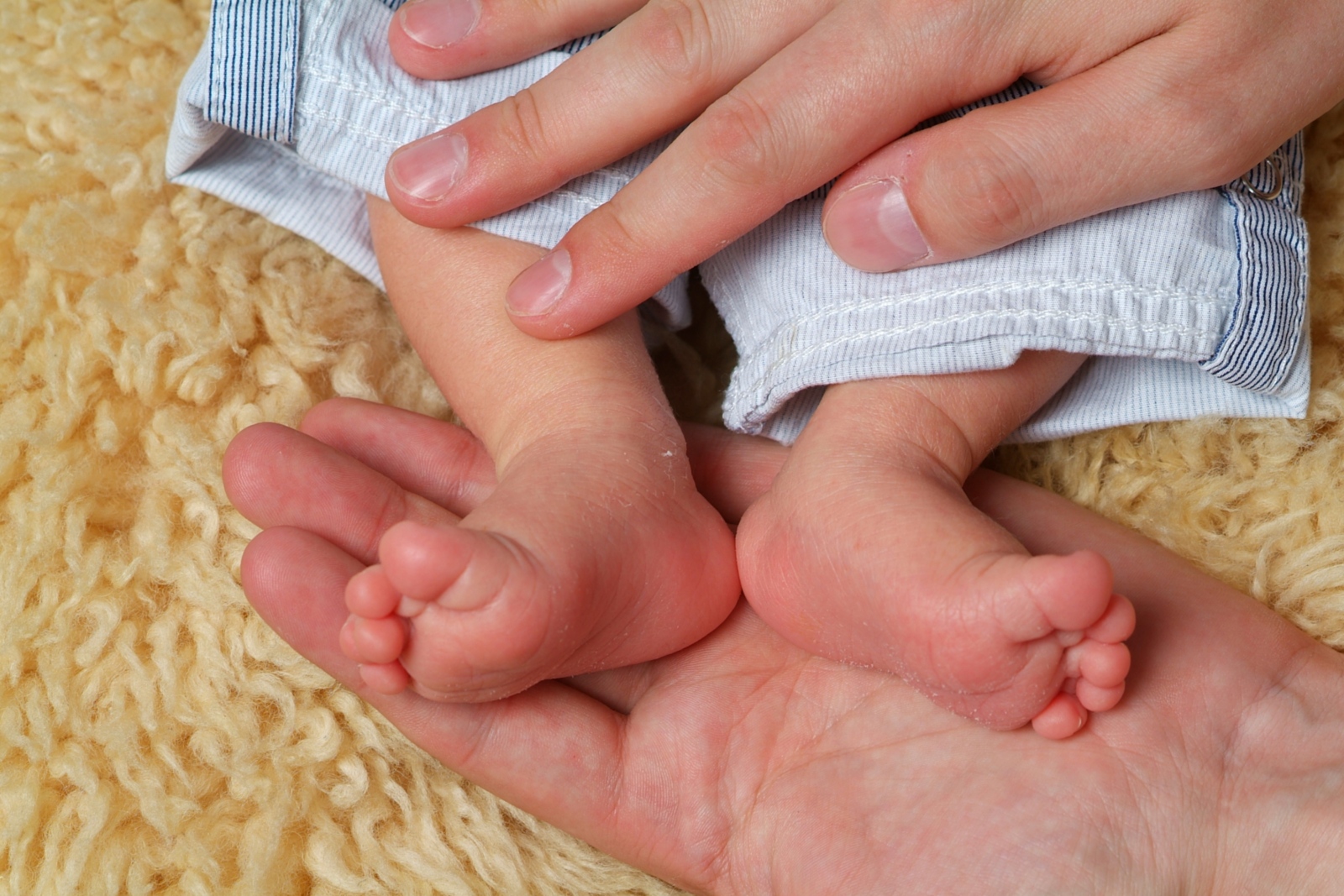 Babyfüße und Elternhände, Baby, Kind, Willkommen, Ex-Bild-DB-ID: 22223